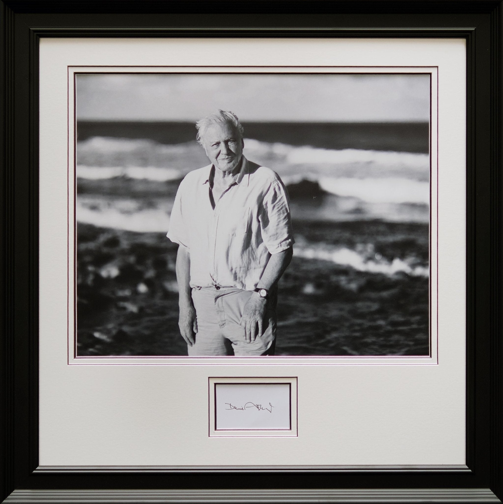 David Attenborough Signed Photograph Display - Memorabilia Framers Shop